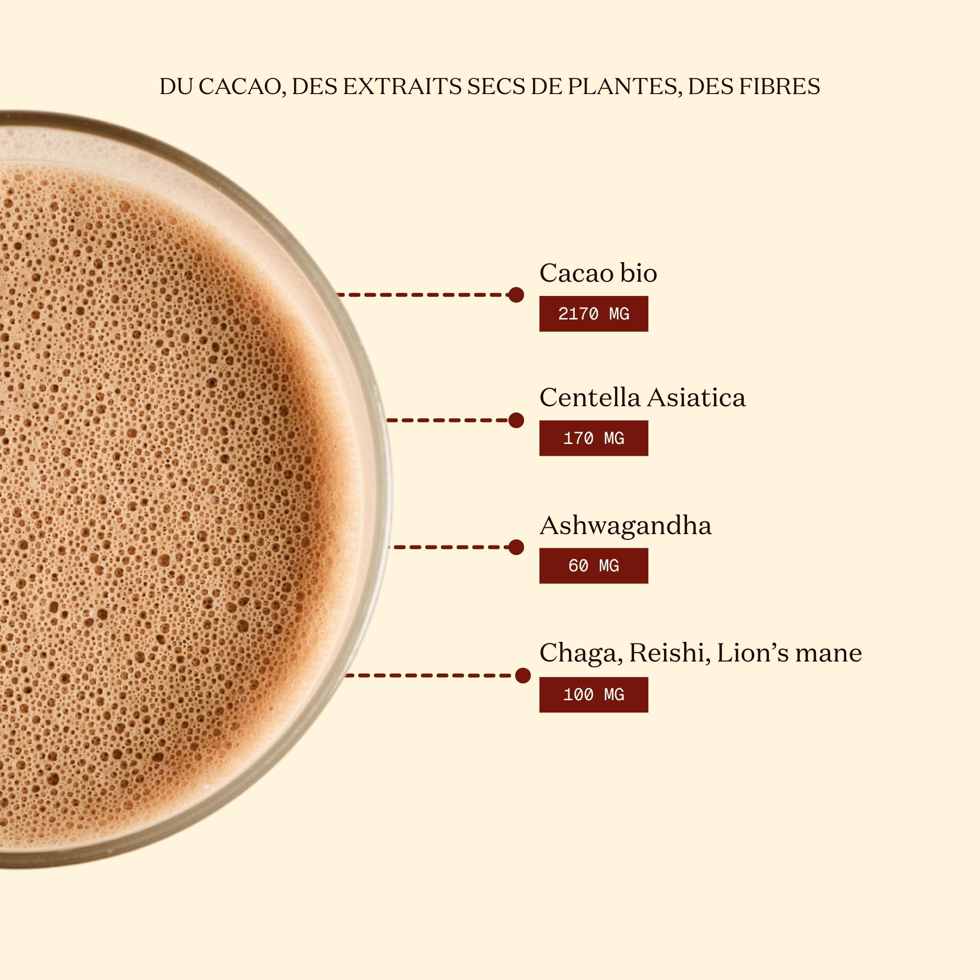 Le Cacao